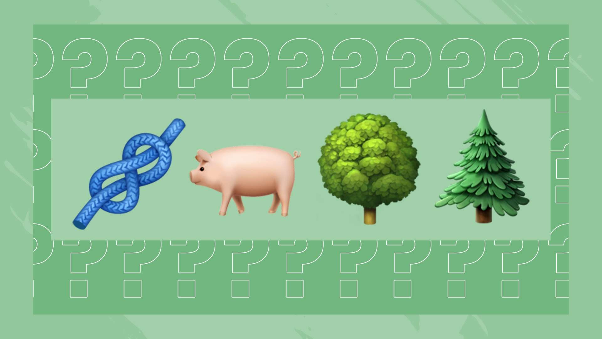 赛氛围中 赛氛围中