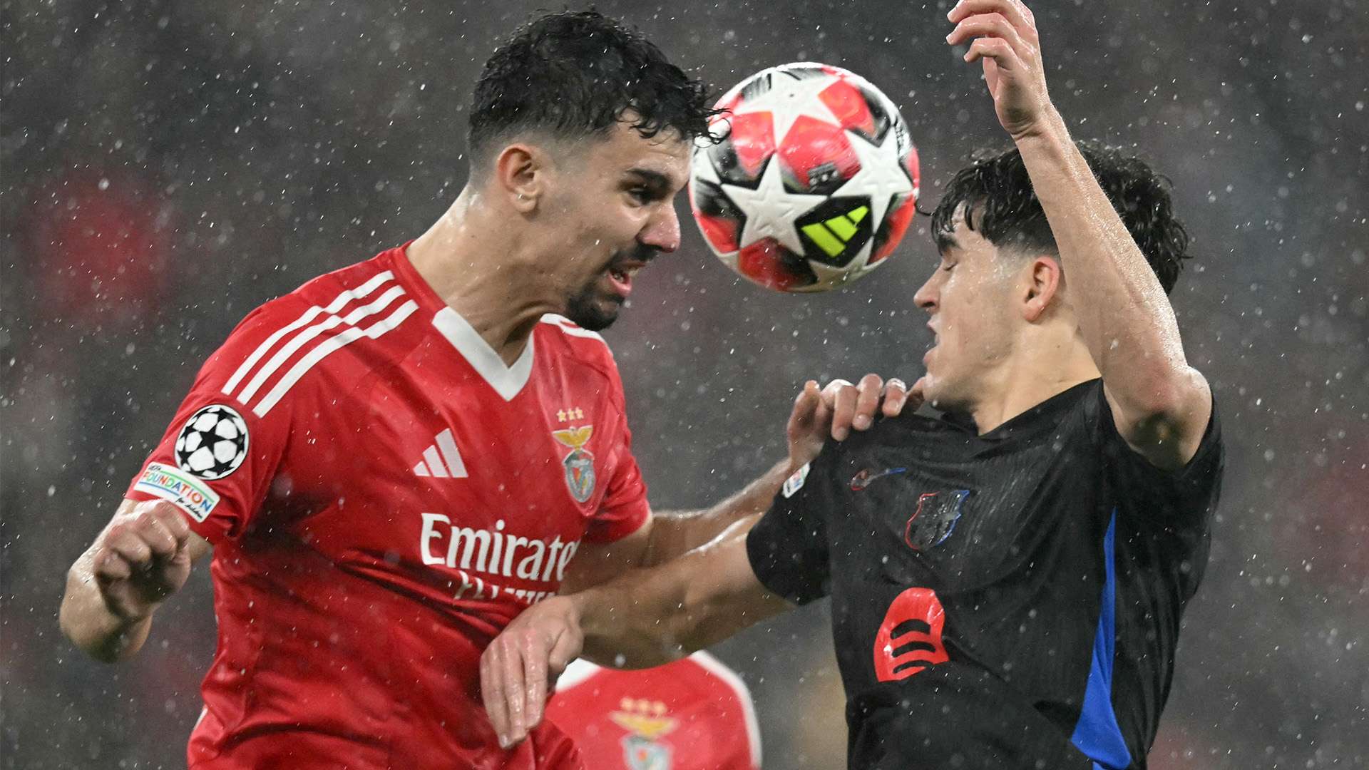 手所忌惮的 手所忌惮的