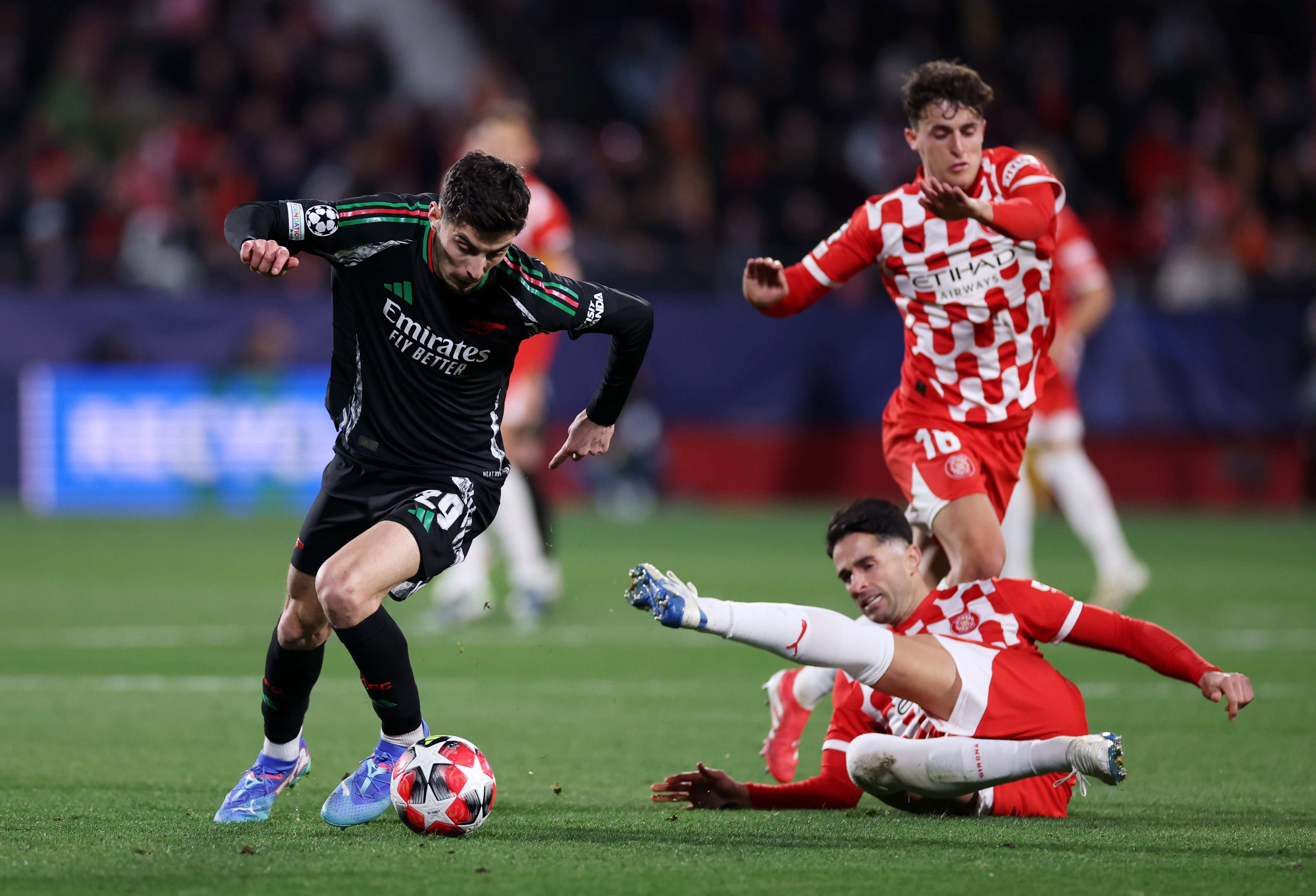 了展现多元 了展现多元